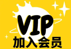 永久VIP开通+规则会员必看否则封号