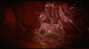 【GTS-3D动画】恶魔帕瓦の房间&不留俘虏 -97LZTD-8343295