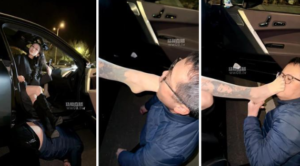 【水晶熊】户外遛狗犬化-97LZTD-8344705