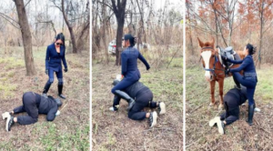 【爱丽丝】户外训化马奴-97LZTD-8344740