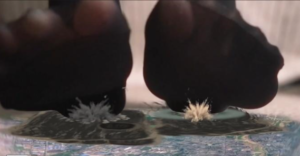 【GTS-特效】淘汰不是出局，而是死亡与毁灭！高跟黑丝挑鞋入鞋POV-97LZTD-8345041