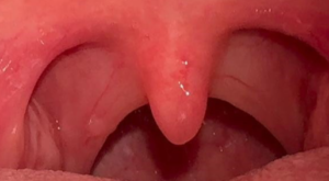 【GTS-KK酱】超级偶像巨星初音未来-97LZTD-8345177