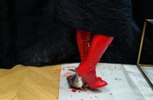 过膝红靴插鱼嘴-97LZTD-8345146