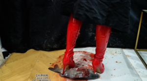 过膝红靴插鱼嘴-97LZTD-8345146