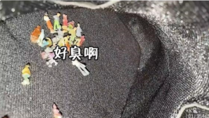 【GTS-国产精品】KK女神的小护士们-97LZTD-8345271