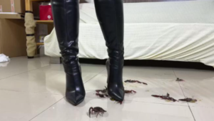 默墨S过膝大腿靴踩烂一地偷窥小龙虾-97LZTD-8345300