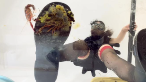 CaiR010h 萱玻璃地板平底萝莉鞋跟碾跺踩CRUSH踩死小龙虾 h鞋底视角-97LZTD-834538930