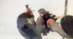 CaiR010h 萱玻璃地板平底萝莉鞋跟碾跺踩CRUSH踩死小龙虾 h鞋底视角-97LZTD-834538930