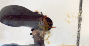 CaiR010h 萱玻璃地板平底萝莉鞋跟碾跺踩CRUSH踩死小龙虾 h鞋底视角-97LZTD-834538930