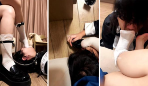 【Cat殿下】可爱小主虐cd狗-97LZTD-834538935