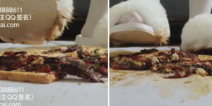 雪莉姐姐踩面包龙虾三华里 -97LZTD-834538961