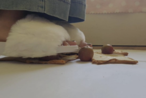 雪莉姐姐踩面包龙虾三华里 -97LZTD-834538961