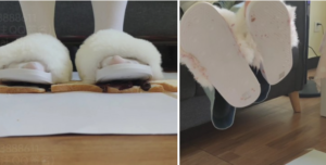 雪莉姐姐踩面包龙虾三华里 -97LZTD-834538961