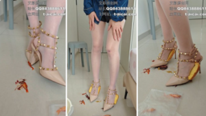 【雅泫】华伦天奴处理金鱼＋狗粮＋龙虾-97LZTD-834538962