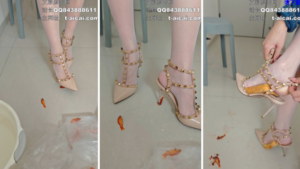 【雅泫】华伦天奴处理金鱼＋狗粮＋龙虾-97LZTD-834538962