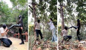 【暴力美学】推荐-双S户外训野狗【双视角版】-97LZTD-834538984