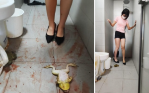 用大牛蛙涂抹卫生间-97LZTD-83453909