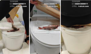 瑜伽裤超高跟坐扁鲫鱼-97LZTD-83453971