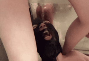 全体重踩踏深喉插嘴，丝袜裸足轮流深喉，直接圣水后踩胃-97LZTD-83453974