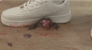 空军一号踩爆牛蛙蹦迪-97LZTD-83454109