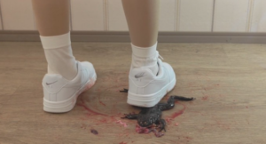 空军一号踩爆牛蛙蹦迪-97LZTD-83454109