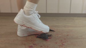 空军一号踩爆牛蛙蹦迪-97LZTD-83454109