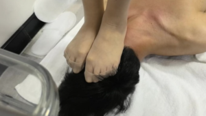 【冷鸢】高跟踩踏学生狗鞋跟刮痧脚喂食-97LZTD-834541521