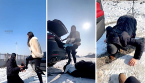 【兰主人】雪地户外训狗-97LZTD-8345415717205