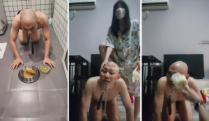 【暴力柚子】圈养光头狗-97LZTD-8345415717223