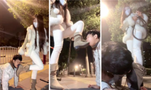 【玫瑰S】户外遛狗人形犬【双视角版】-97LZTD-8345415717370