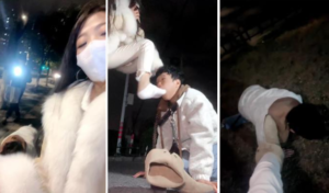 【玫瑰S】户外遛狗人形犬【双视角版】-97LZTD-8345415717370