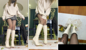 【ToKNai】嗵嗵白色长靴冻鹦鹉标本（死的） -97LZTD-8345415717384