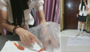 露脸甜美jk小女生萱萱踩+处决一堆金鱼 -97LZTD-8345415717386