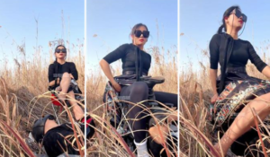 【爱丽丝】户外骑马遛狗场-97LZTD-8345415717451618502111229