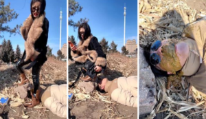 【兰主人】户外遛狗犬化-97LZTD-8345415717451618502111286