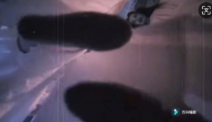 黑白双煞女魔头续（江湖剑客不敌女魔头被踩废双臂，小师妹险些被踩死 -97LZTD-834541571745161850211129412021