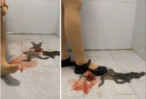 柔柔肉丝小皮鞋3蛙-97LZTDGXFC-0000031327008