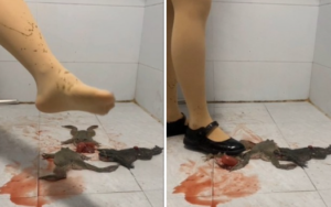 柔柔肉丝小皮鞋3蛙-97LZTDGXFC-0000031327008