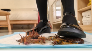 南瓜汤JK玛丽珍踩小龙虾-97LZTDGXFC-000003132702687