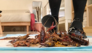 南瓜汤JK玛丽珍踩小龙虾-97LZTDGXFC-000003132702687