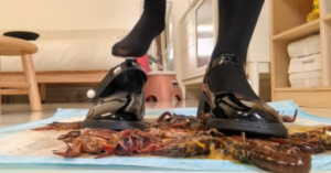 南瓜汤JK玛丽珍踩小龙虾-97LZTDGXFC-000003132702687