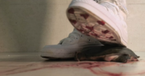 【南瓜汤】帆布鞋踩大王八-97LZTDGXFC-000003132702443