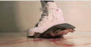 【南瓜汤】帆布鞋踩大王八-97LZTDGXFC-000003132702443