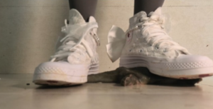 【南瓜汤】帆布鞋踩大王八-97LZTDGXFC-000003132702443