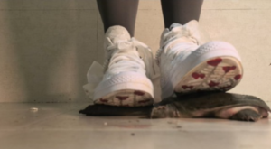 【南瓜汤】帆布鞋踩大王八-97LZTDGXFC-000003132702443