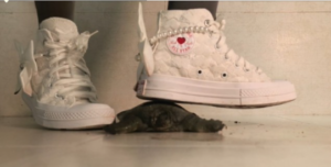 【南瓜汤】帆布鞋踩大王八-97LZTDGXFC-000003132702443