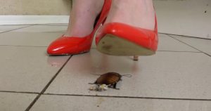 Marina roach crush 9