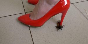 Marina roach crush 9