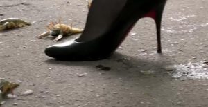贵妇穿着皮草黑丝高跟野外踩烂可怜的龙虾