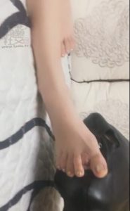 美虎牙女王首次直播调教-边玩手机家奴添脚伺奉-97L2ZTD-816821